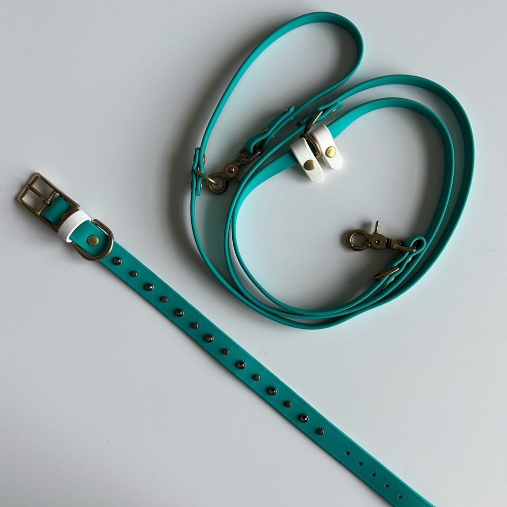 Dog collar and leash set